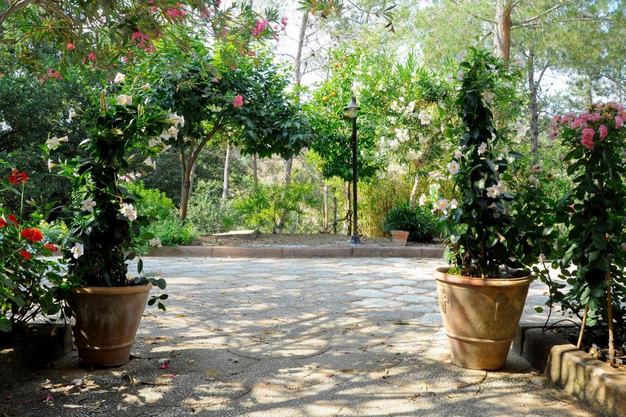 Agriresort Villa Bentivoglio ピアッツァ・アルメリーナ エクステリア 写真